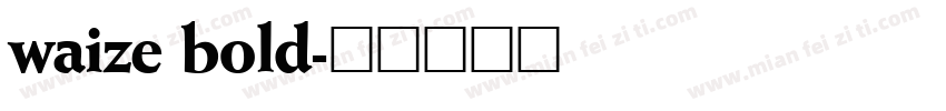 waize bold字体转换
